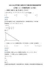 218，浙江省杭州市杭州观成实验学校2023-2024学年九年级上学期10月月考数学试题