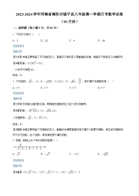 260，河南省南阳市镇平县2023-2024学年八年级上学期10月月考数学试题