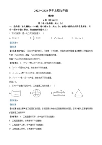 262，四川省成都市天府新区2023-2024学年九年级上学期期末数学试题