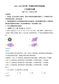 273，山东省德州市临邑县2023-2024学年八年级上学期期末数学试题