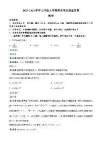 318，河南省信阳市浉河区2023-2024学年七年级上学期期末数学试题