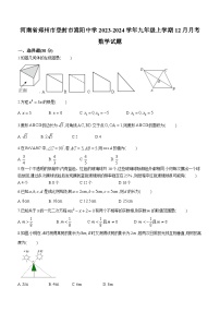 338，河南省郑州市登封市嵩阳中学2023-2024学年九年级上学期12月月考数学试题()