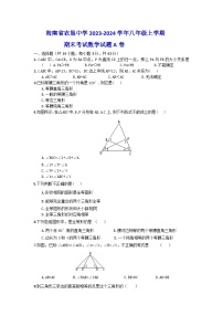 海南省省直辖县级行政单位琼海市嘉积中学2023-2024学年八年级上学期期末考试数学试题B卷