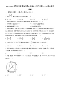 山东省青岛市崂山区崂山区育才学校2023-2024学年九年级上学期期末数学试题（原卷版+解析版）