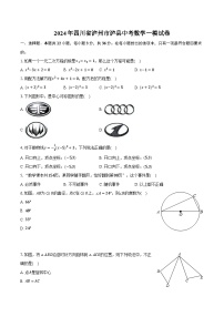 2024年四川省泸州市泸县中考数学一模试卷（含解析）