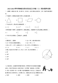 2023-2024学年河南省安阳市龙安区九年级（上）期末数学试卷（含解析）