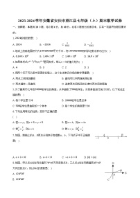 2023-2024学年安徽省安庆市望江县七年级（上）期末数学试卷（含解析）