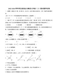 2023-2024学年河北省保定市唐县七年级（上）期末数学试卷（含解析）