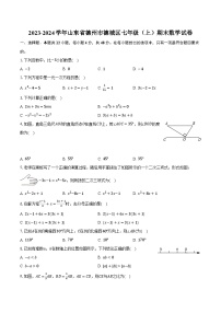 2023-2024学年山东省德州市德城区七年级（上）期末数学试卷（含解析）