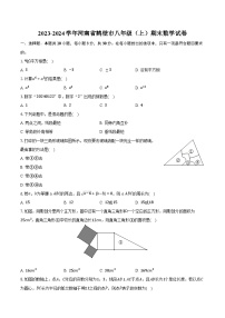 2023-2024学年河南省鹤壁市八年级（上）期末数学试卷（含解析）