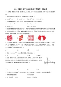 2024年四川省广元市旺苍县中考数学一模试卷（含解析）