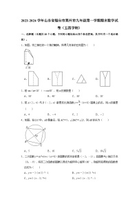 +山东省烟台市莱州市2023-2024学年九年级上学期期末数学试卷（五四制）+