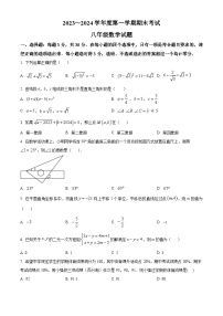 山东省枣庄市滕州市2023-2024学年八年级上学期期末数学试题（原卷版+解析版）