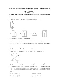 2023-2024学年山东省烟台市莱州市九年级（上）期末数学试卷（五四学制）（含解析）