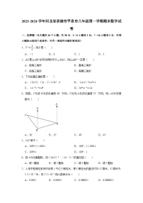 2023-2024学年河北省承德市平泉市八年级（上）期末数学试卷（含解析）