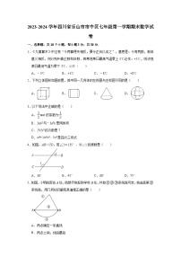 2023-2024学年四川省乐山市市中区七年级（上）期末数学试卷(含解析)