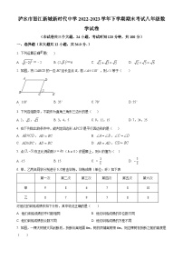 精品解析：云南省怒江州泸水市怒江新城新时代中学2022-2023学年八年级下学期期末考试数学试题