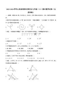 2023-2024学年山东省淄博市周村区七年级（上）期末数学试卷（五四学制）（含解析）