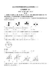 广西壮族自治区钦州市浦北县第三中学2023-2024学年九年级上学期12月月考数学试题