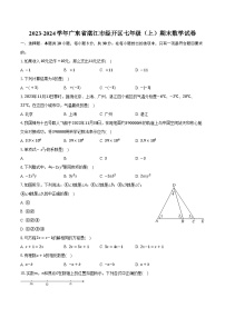 2023-2024学年广东省湛江市经开区七年级（上）期末数学试卷（含解析）