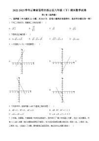 精品解析：云南省昆明市西山区2022-2023学年八年级下学期期末数学试题