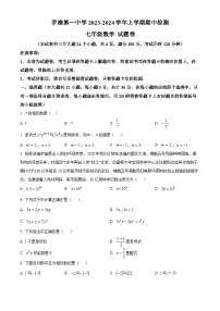 云南省曲靖市罗平县罗平平高学校2023-2024学年七年级上学期期中数学试题（原卷版+解析版）