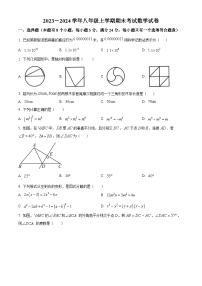 四川省自贡市2023-2024学年八年级上学期期末数学试题（原卷版+解析版）