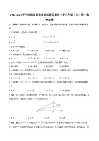 2023-2024学年陕西省西安市西咸新区秦汉中学八年级（上）期中数学试卷（含解析）