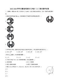 2023-2024学年安徽省芜湖市九年级（上）期末数学试卷（含解析）