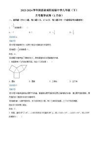 陕西省咸阳实验中学2023-2024学年九年级下学期月考数学试题