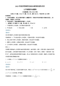 云南省昭通市永善县2023-2024学年九年级上学期期中数学试题