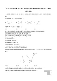 2022-2023学年黑龙江省大庆市萨尔图区靓湖学校七年级（下）期中数学试卷（含解析）