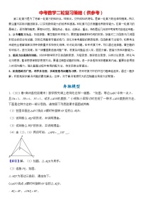 2024年中考数学压轴题专项练习—奔驰模型