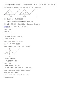 2024年中考数学压轴题专项练习—平行四边形综合题