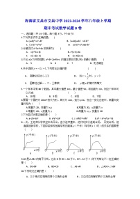 海南省文昌市文昌中学2023-2024学年八年级上学期期末考试数学试题B卷