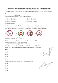 2022-2023学年湖南省湘潭市湘潭县七年级（下）期末数学试卷(含解析）