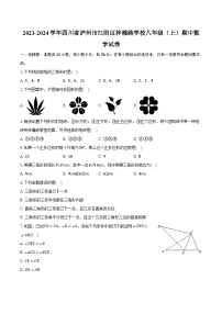 2023-2024学年四川省泸州市江阳区梓橦路学校八年级（上）期中数学试卷(含解析）