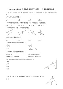 2023-2024学年广西北海市银海区八年级（上）期中数学试卷(含解析）