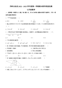 贵州省安顺市关岭布依族苗族自治县2022-2023学年七年级上学期期末数学试题（原卷版+解析版）