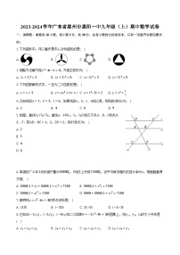 2023-2024学年广东省惠州市惠阳一中九年级（上）期中数学试卷（含解析）