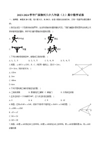 2023-2024学年广西柳州八中八年级（上）期中数学试卷（含解析）