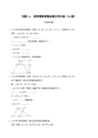 北师大版七年级数学下册举一反三  专题2.4 阅读理解填理由题专项训练（30道）（举一反三）（原卷版+解析）