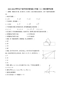 2023-2024学年辽宁省丹东市宽甸县八年级（上）期末数学试卷(含解析）