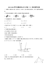 2023-2024学年安徽省黄山市九年级（上）期末数学试卷(含解析）