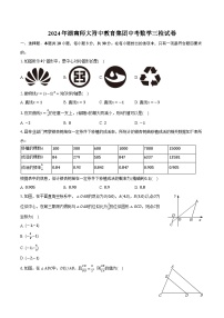 2024年湖南师大附中教育集团中考数学三检试卷（含解析）