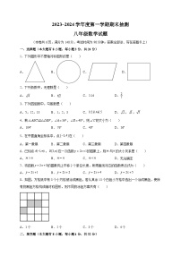 徐州市2023-2024学年八年级上学期期末数学试卷（含答案解析）