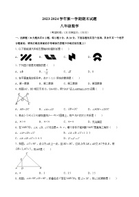 扬州市仪征市2023-2024学年八年级上学期期末数学试卷（含答案解析）