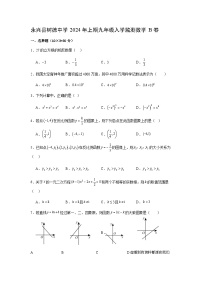 湖南省郴州市永兴县树德初级中学2023-2024学年九年级下学期入学考试数学试题（B卷）