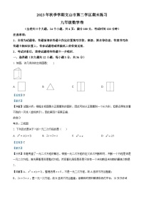 云南省文山壮族苗族自治州文山市第二学区2023-2024学年九年级上学期期末数学试题