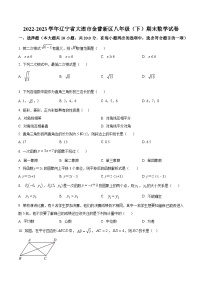 辽宁省大连市金普新区2022-2023学年八年级下学期期末数学试题（原卷版+解析版）